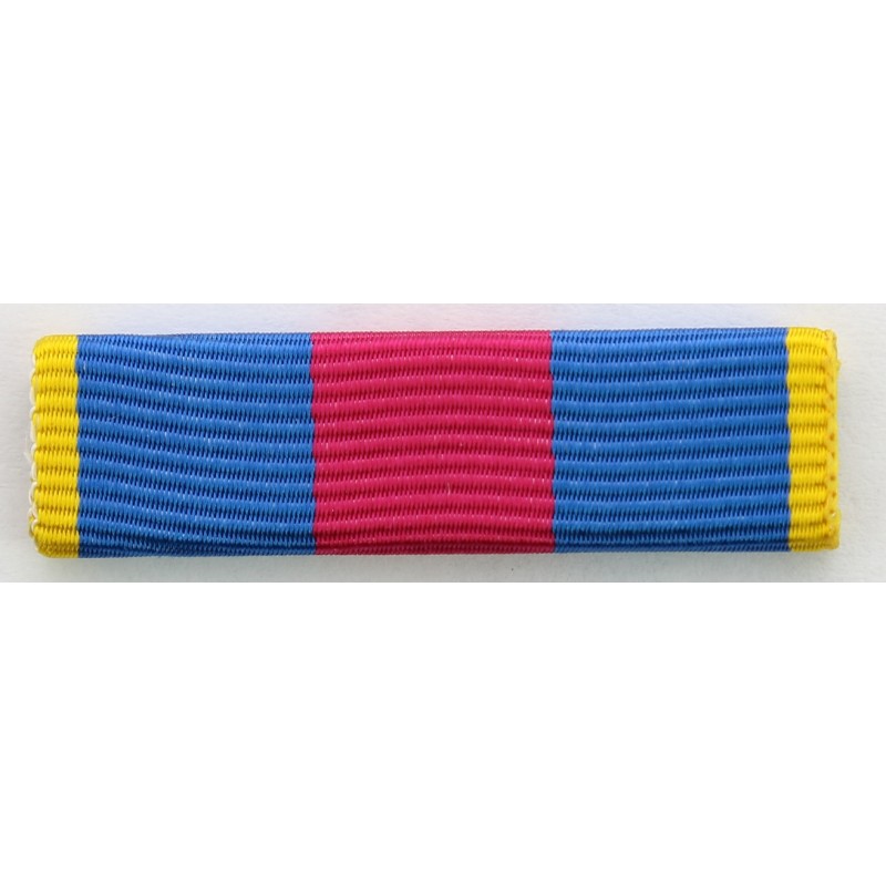 Barrette dixmude réservistes volontaires or - DMB