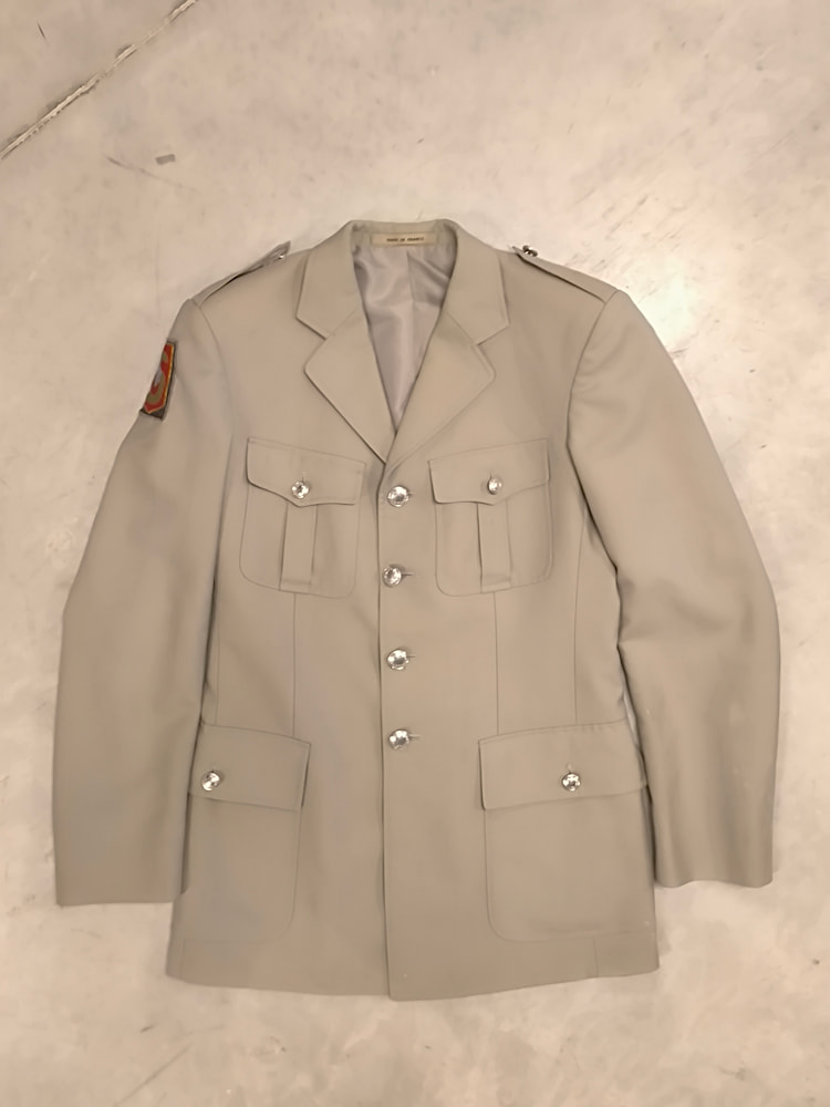 Veste militaire Division Blindée armée Française